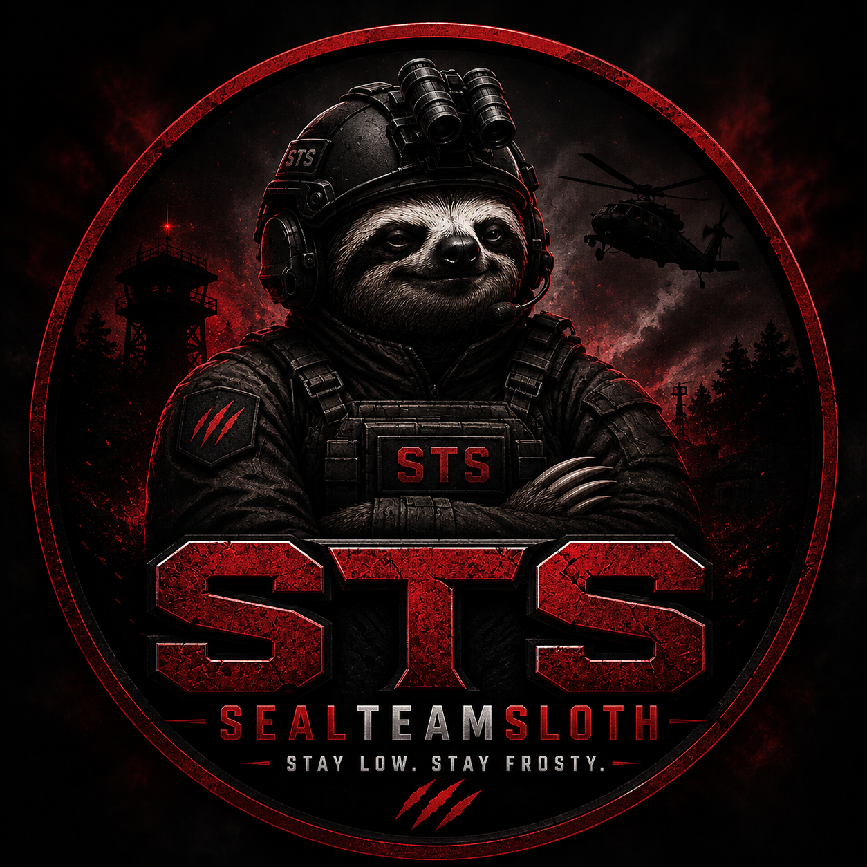 STS Logo